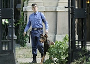 кадр из фильма 