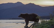 кадр из фильма Легенда о Большой Медведице