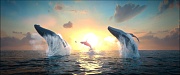 кадр из фильма Подводная братва. На страже рифа