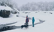 кадр из фильма  Исчезновение