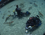 фото со съемок фильма 