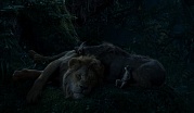 кадр из фильма Король Лев