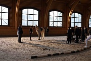 фото со съемок фильма Стихия