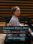 Постер фильма Настройщик