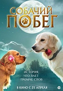 постер фильма Собачий побег