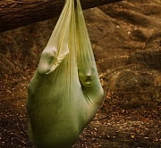 кадр из фильма 