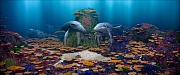 кадр из фильма Подводная братва. На страже рифа