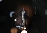 кадр из фильма Чужой дом