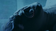 кадр из фильма Страх темноты