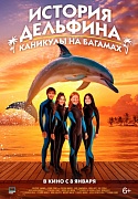 История дельфина каникулы на Багамах.jpg
