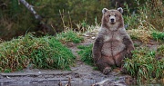 кадр из фильма Легенда о Большой Медведице