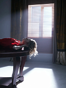 кадр из фильма Свобода