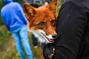 фото со съемок Мой дикий друг. Возвращение домой